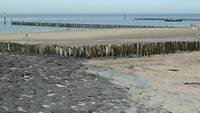 zoutelande wandel_23-08-2017 (4)
