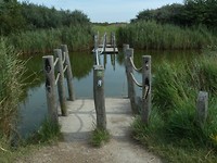 zoutelande wandel_23-08-2017 (14)