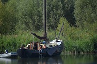 biesbosch_28-08-2017 (2)