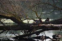biesbosch_28-08-2017 (9)