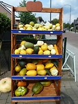 hamont_03-09-2017 (2)