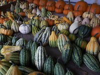 hamont_03-09-2017 (5)