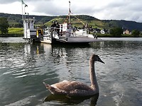 ellenz-beilstein_11-09-2017 (5)