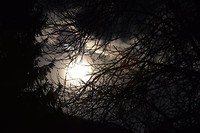 burg ramstein_31-03-2018 (21)