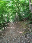 cp stromberg_09-05-2018 (3)