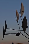 stromberg_09-05-2018 (13)