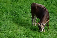 Nesselwang-11-05-2018 (10)