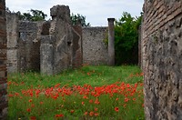 pompeii_20-21-05-2018 (5)