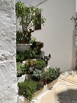 ostuni_29-05-2018 (9)