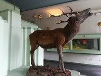 Mesola_8-9-06-2018 (2)