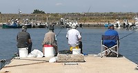 Mesola_8-9-06-2018 (7)