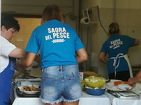 Mesola_8-9-06-2018 (9)