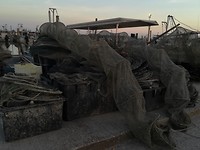 Mesola_8-9-06-2018 (10)