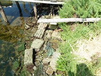 Mesola_8-9-06-2018 (14)
