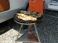 Mesola_8-9-06-2018 (16)