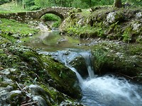 clauzetto_14-06-2018 (9)