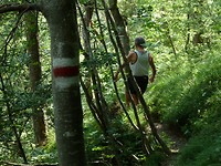 hermagor_18-06-2018 (13)