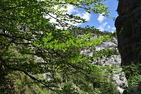 garnitzenklamm_19-06-2018 (14)