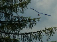weissensee_22-06-2018 (6)