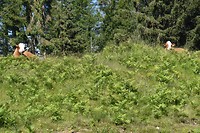 weissensee_23-06-2018 (1)