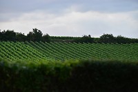 siefersheim 26-06-2018 (1)