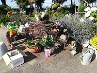 siefersheim 26-06-2018 (6)