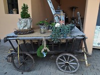 siefersheim 26-06-2018 (7)