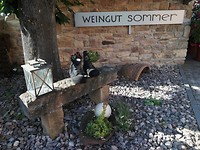siefersheim 26-06-2018 (8)