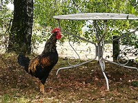 charlevilles_02-09-2018 (21)
