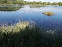 remich, LU_ 08-09-2018 (1)