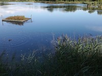 remich, LU_ 08-09-2018 (2)