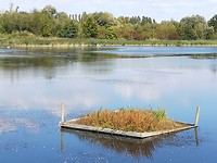 remich, LU_ 08-09-2018 (4)