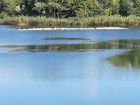 remich, LU_ 08-09-2018 (5)
