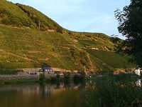 trittenhiem_11-09-2018 (2)