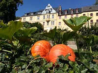 trittenhiem_11-09-2018 (7)