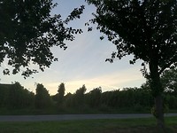 trittenhiem_11-09-2018 (8)