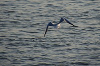 ooijen en wijhe_19-09-2018 (2)