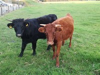 ooijen en wijhe_19-09-2018 (8)