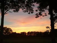 ooijen en wijhe_19-09-2018 (9)