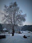 weissensee_08-02-2019 (4)