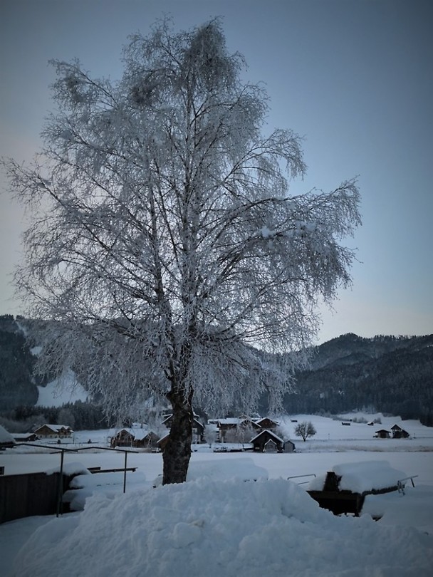 weissensee_08-02-2019 (4)
