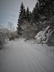 weissensee_08-02-2019 (10)