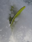 weissensee_08-02-2019 (13)