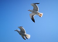 texel _april 2019 (1)