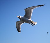 texel _april 2019 (2)