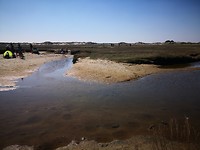 texel _april 2019 (5)