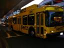 Grote Bus