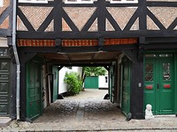 ribe_08-06-2019 (5)