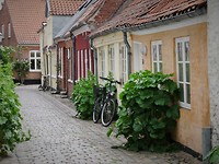 ribe_08-06-2019 (14)