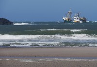 hvide sande_09-06-2019 (1)